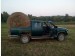 NISSAN Pick up elad� diesel haszn�ltaut�
