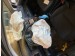 HONDA Civic 1.6  LSI elad� benzines t�r�tt aut�